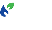 BPA Free